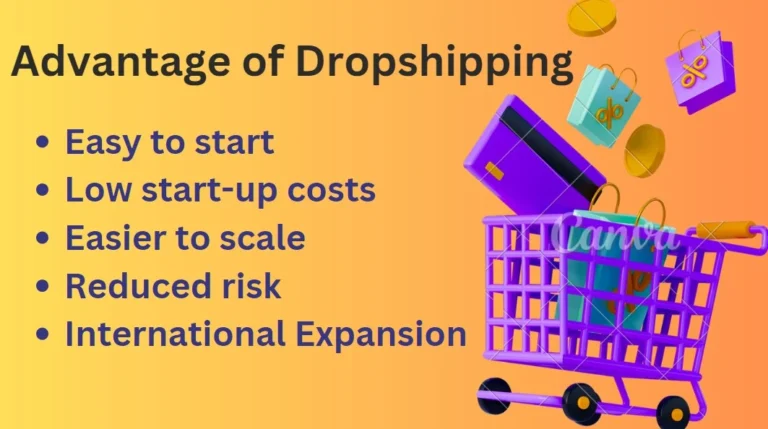 What is Dropshipping